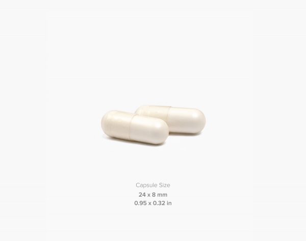 Liver support, capsules