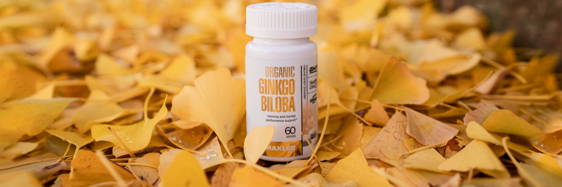 A photo of Organic Ginkgo Biloba bottle standing on leaves.