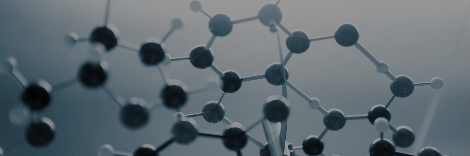 cellular structure of taurine