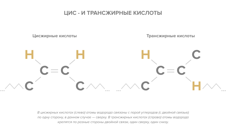 Роль жира в организме человека 4