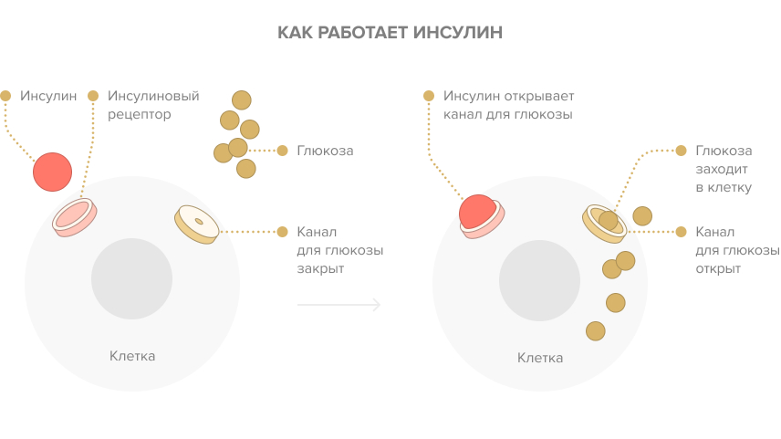 Инсулинорезистентность - причины и признаки 1